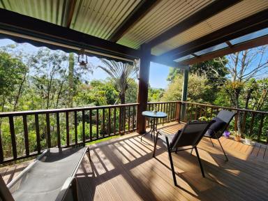 House For Sale - QLD - Atherton - 4883 - A Unique Pole House Designed for Serenity and Business  (Image 2)