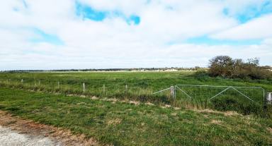 Other (Rural) Sold - SA - Naracoorte - 5271 - Hobby block for the sheep & family activities close to town - 5.5 Acres  (Image 2)