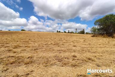 Residential Block For Sale - QLD - Childers - 4660 - ACREAGE LIVING IN THE CHILDERS HINTERLAND  (Image 2)