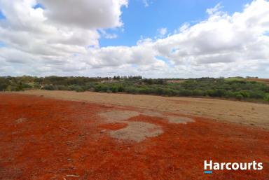 Residential Block For Sale - QLD - Childers - 4660 - ACREAGE LIVING IN THE CHILDERS HINTERLAND  (Image 2)