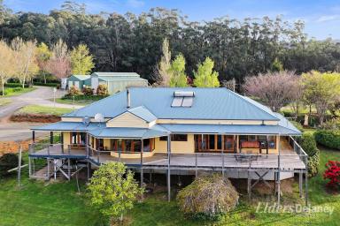 Other (Rural) For Sale - VIC - Piedmont - 3833 - Country Style Living on 49.28 hectares  (Image 2)