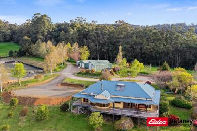 Other (Rural) For Sale - VIC - Piedmont - 3833 - Country Style Living on 49.28 hectares  (Image 2)