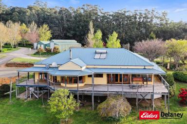 Other (Rural) For Sale - VIC - Piedmont - 3833 - Country Style Living on 49.28 hectares  (Image 2)