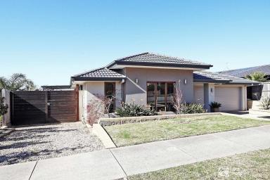 House Leased - VIC - Botanic Ridge - 3977 - SOUGHT AFTER BOTANIC RIDGE  (Image 2)
