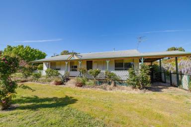 Livestock Sold - VIC - Hamilton - 3300 - LIFESTYLE – FARMING – INVESTMENT OPPORTUNITY  (Image 2)