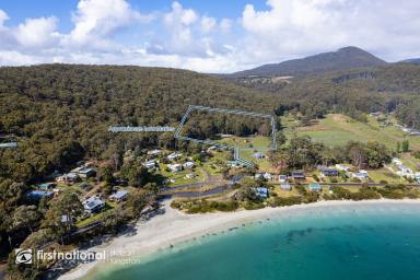 House Sold - TAS - Adventure Bay - 7150 - Where the Ocean Meets the Forest  (Image 2)