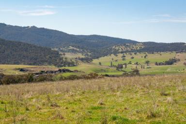 Other (Rural) Sold - NSW - Wambool - 2795 - “Bliss Park” Wambool NSW  (Image 2)