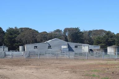 Mixed Farming For Sale - VIC - Skipton - 3361 - "Karingal" Premium Mixed Farm in Well Held Area  (Image 2)