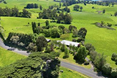 Lifestyle For Sale - VIC - Jindivick - 3818 - Amazing Value - Spectacular Views in Jindivick  (Image 2)