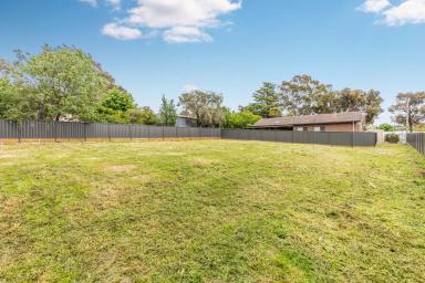 Residential Block For Sale - VIC - Quarry Hill - 3550 - Large, level, titled allotment in sought-after Quarry Hill - 848m2  (Image 2)