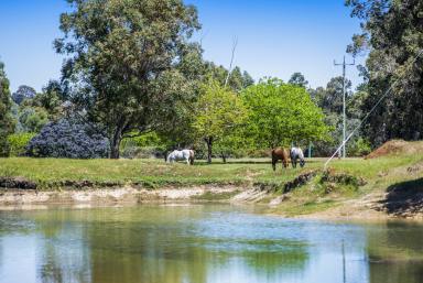 House Sold - WA - Donnybrook - 6239 - COUNTRY SANCTUARY ON 13.5 ACRES  (Image 2)