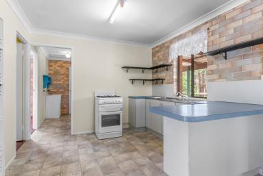 House Leased - QLD - Camp Mountain - 4520 - " What a steal , neat, clean , air conditioning  & vacant  "  (Image 2)