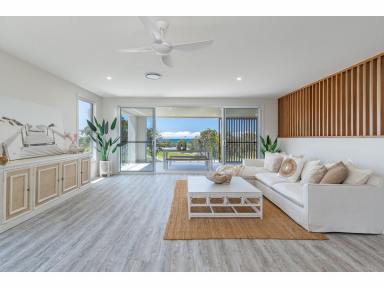 House For Sale - NSW - Diamond Beach - 2430 - DESIGNER HOME - BEAUTIFUL OCEAN VIEWS  (Image 2)