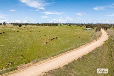 Other (Rural) For Sale - VIC - Mia Mia - 3444 - Picturesque with Reliable Water For Grazing  (Image 2)
