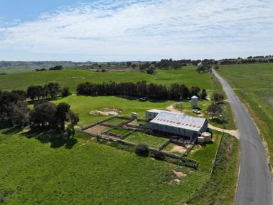 Livestock For Sale - NSW - Golspie - 2580 - TABLELAND LIFESTYLE & GRAZING AT ITS BEST  (Image 2)