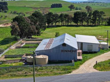 Livestock For Sale - NSW - Golspie - 2580 - TABLELAND LIFESTYLE & GRAZING AT ITS BEST  (Image 2)