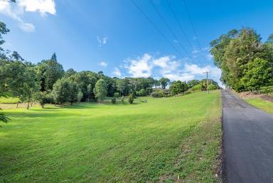 Residential Block Sold - QLD - Cooroy - 4563 - One Acre of Vacant Land in Cooroy!  (Image 2)