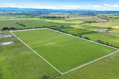 Farmlet For Sale - VIC - Catani - 3981 - Build Your Dreams on 30 Acres  (Image 2)