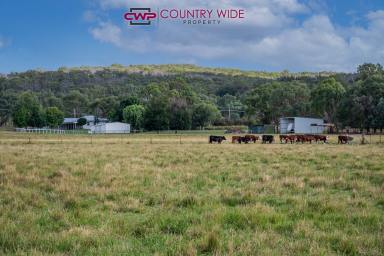 Acreage/Semi-rural For Sale - NSW - Glen Innes - 2370 - When Only The Best Will Do  (Image 2)