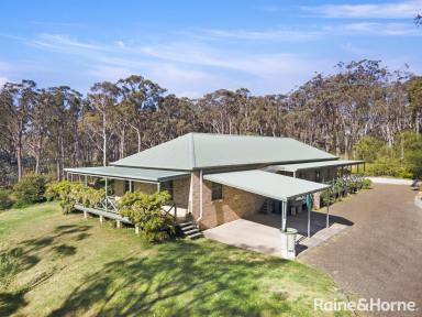 Acreage/Semi-rural For Sale - NSW - Tallong - 2579 - Tranquil Living  (Image 2)