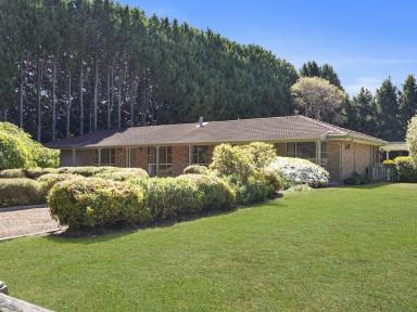 House Leased - NSW - Exeter - 2579 - Country Lifestyle - Solid Family Home  (Image 2)