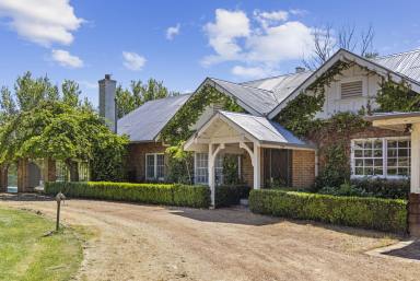 House Sold - NSW - Yass - 2582 - Timeless Elegance and Rich History Await at Historic 'Walgrove'  (Image 2)