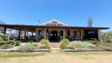 Hotel/Leisure For Sale - QLD - Roma - 4455 - NEWLY BUILT AWARD WINNING PUB FOR SALE - SELLING FREEHOLD - NEAR ROMA  (Image 2)