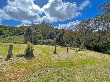 Lifestyle For Sale - NSW - Elands - 2429 - The Great Escape  (Image 2)