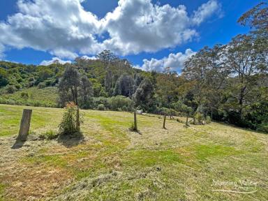 Lifestyle Sold - NSW - Elands - 2429 - The Great Escape  (Image 2)