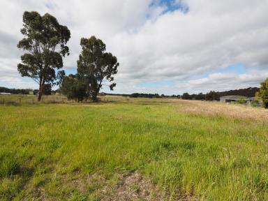 Residential Block For Sale - VIC - Lismore - 3324 - 2.146HA (5.30 Acres) - Quality Block - Unlimited Lifestyle Potential  (Image 2)