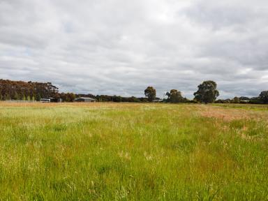 Residential Block For Sale - VIC - Lismore - 3324 - 2.146HA (5.30 Acres) - Quality Block - Unlimited Lifestyle Potential  (Image 2)