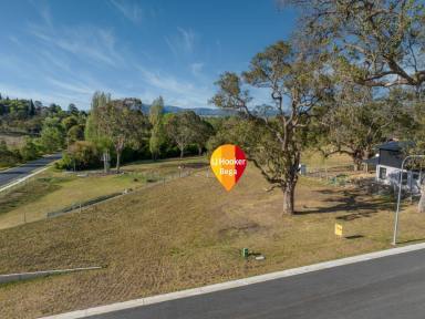 Residential Block Sold - NSW - Bega - 2550 - STUNNING VACANT LAND  (Image 2)