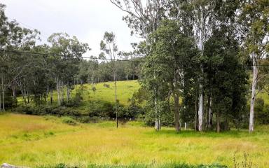Acreage/Semi-rural Sold - QLD - Ravenshoe - 4888 - Is it a shed,,,is it a home   maybe SHOME  (Image 2)