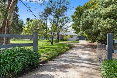 Acreage/Semi-rural Auction - VIC - Tuerong - 3915 - Upsize The Family Into Idyllic Country-Style Living  (Image 2)