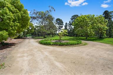 Acreage/Semi-rural Sold - VIC - Tuerong - 3915 - Upsize The Family Into Idyllic Country-Style Living  (Image 2)