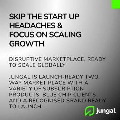 Business For Sale - SA - Adelaide - 5000 - A rare opportunity to acquire a turnkey global talent platform  (Image 2)