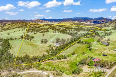 Livestock Sold - NSW - Gloucester - 2422 - 'Glendon' Perfect Acreage on the Gloucester River  (Image 2)