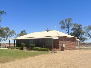 House For Sale - NSW - Moree - 2400 - AFFORDABLE ACREAGE - A GREAT STARTER  (Image 2)