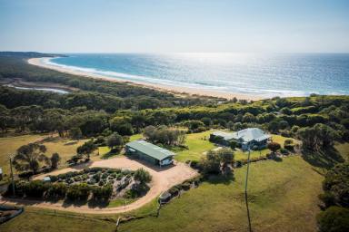Acreage/Semi-rural Sold - NSW - Cuttagee - 2546 - Unparalleled Location - as rare as it is remarkable. 
Location, Location, Location!  (Image 2)