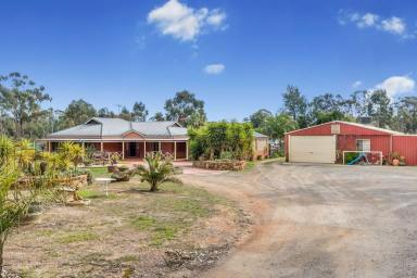 House Leased - VIC - Maiden Gully - 3551 - DIVE INTO MAIDEN GULLY!  (Image 2)