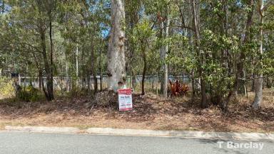 Residential Block Sold - QLD - Russell Island - 4184 - Land with the Lot! - Fenced, water connection, power connection, cleared.  (Image 2)