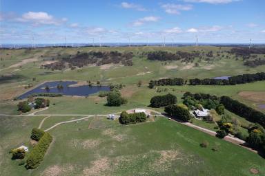 Livestock For Sale - NSW - Gunning - 2581 - End of an era at Walwa Homestead  (Image 2)