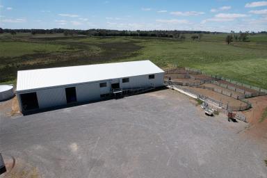 Livestock For Sale - NSW - Gunning - 2581 - End of an era at Walwa Homestead  (Image 2)