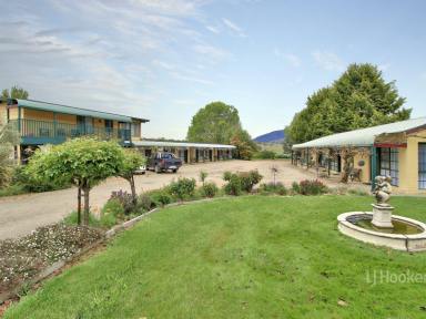 Hotel/Leisure For Sale - VIC - Omeo - 3898 - MOTEL FREEHOLD FOR SALE, WITH EXCELLENT RETURN  (Image 2)