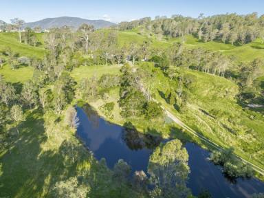 Acreage/Semi-rural For Sale - NSW - Brogo - 2550 - SUSTAINABLE LIFESTYLE  (Image 2)