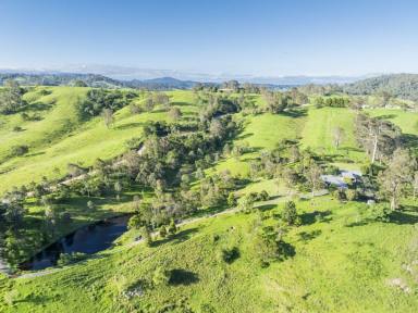Acreage/Semi-rural For Sale - NSW - Brogo - 2550 - SUSTAINABLE LIFESTYLE  (Image 2)