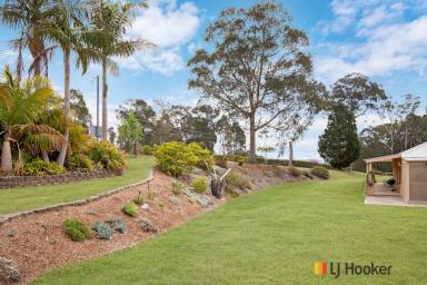 House For Sale - NSW - Catalina - 2536 - Lifestyle Acreage Close To Town!  (Image 2)