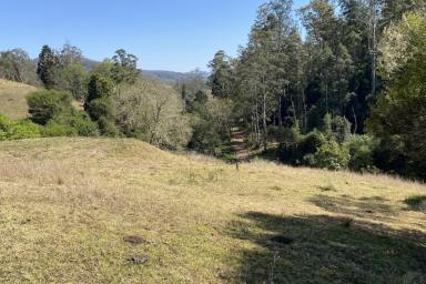 Other (Rural) Sold - NSW - Ellenborough - 2446 - Weekend Escape or Opportunity for Small Scale Farming Venture  (Image 2)