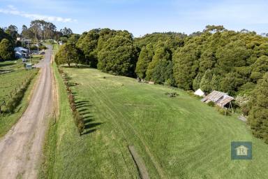 Lifestyle For Sale - VIC - Beech Forest - 3237 - Let Your Imagination Run Wild...  (Image 2)