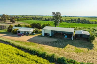 Lifestyle Sold - NSW - Cowra - 2794 - LACHLAN RIVER FRONTAGE, ON THE OUTSKIRTS OF TOWN!  (Image 2)